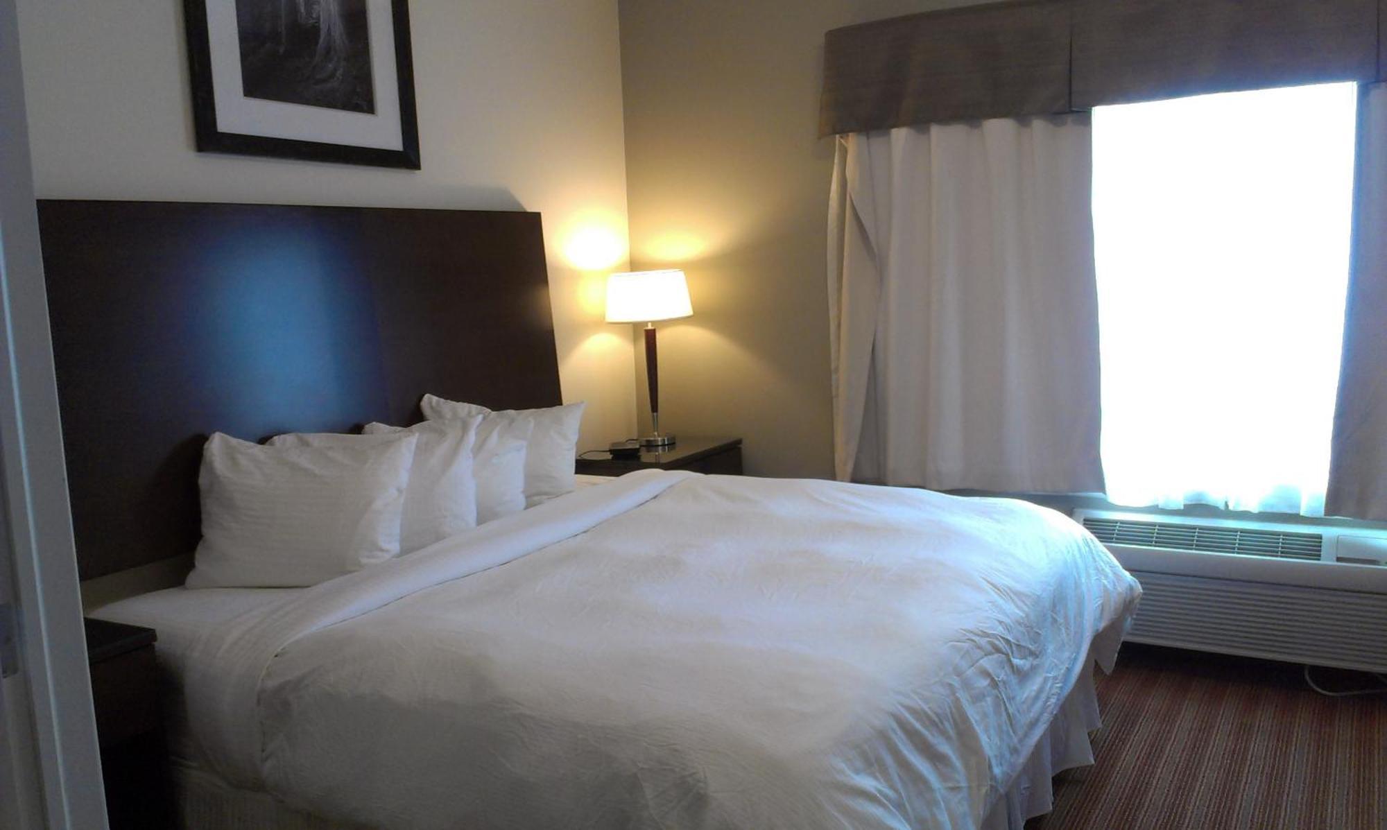Sigma Inn & Suites Hudson'S Hope Hudson Hope Buitenkant foto